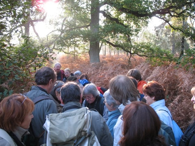 2007-10-Sortie au bois de Rochefort